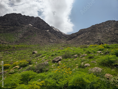 Yellow wildflowers and lush green shrubs fill a rocky spring meadow beneath rugged mountain peaks with traces of lingering snow.
📍 Hawraman Takht, Kurdistan, Iran 