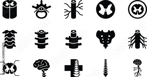 Cuadro en lienzo Set of icons representing the human spine, spinal cord, vertebrae, and brain ana