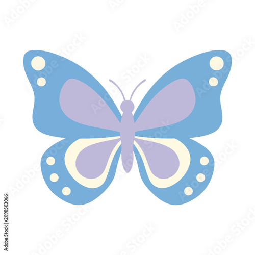 Blue and purple butterfly illustration