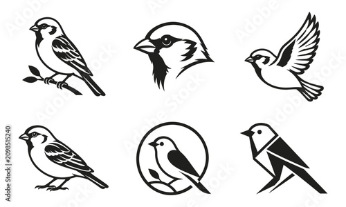 Set of sparrow bird silhouettes in various poses as vector illustration isolated on white background