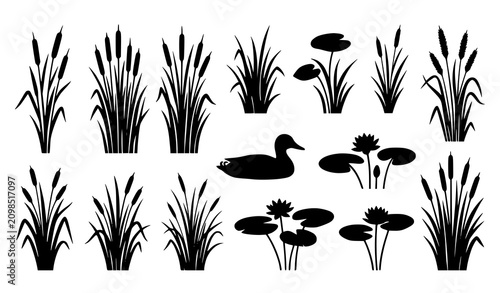 Tableau sur toile Reed Grass Cattail Water Lily Duck Pond Plant Silhouette Collection Vector Illus