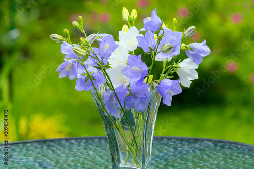 A glass vase holds a fresh bouquet of peach-leaved garden bells.