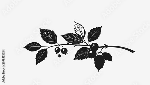 Photos Blackberry branch with leaves and fruit.