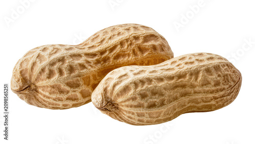 Two textured peanut pods with intricate patterns, isolated on transparent background