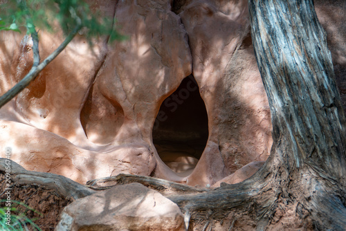 Scenic Sandstone Cliffs and Canyon Landscape in Zion National Park, Utah
