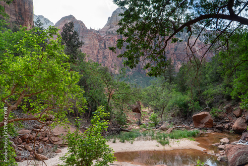 Scenic Sandstone Cliffs and Canyon Landscape in Zion National Park, Utah