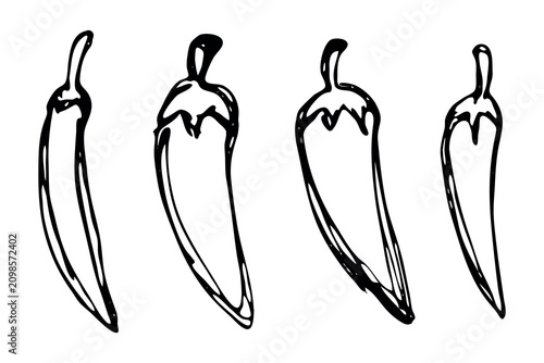 Set of hand drawn hot chili pepper doodle Spicy fresh organic vegetable, cayenne, paprika, habanero, jalapeno, mexican kitchen Single element for design print packaging label