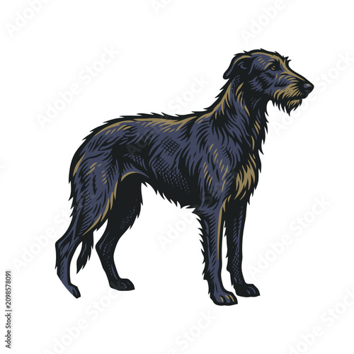 Foto Hand-drawn illustration of a dark, long-haired sighthound standing alertly