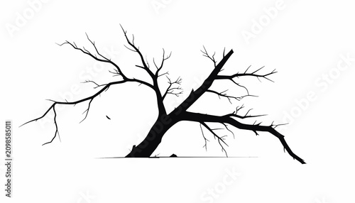 Bild auf Leinwand Dead Tree Silhouette No Leaves.