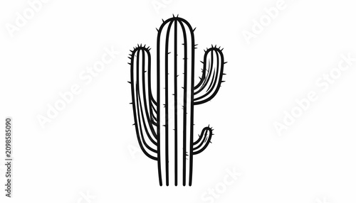 Cactus plant with sharp spines.