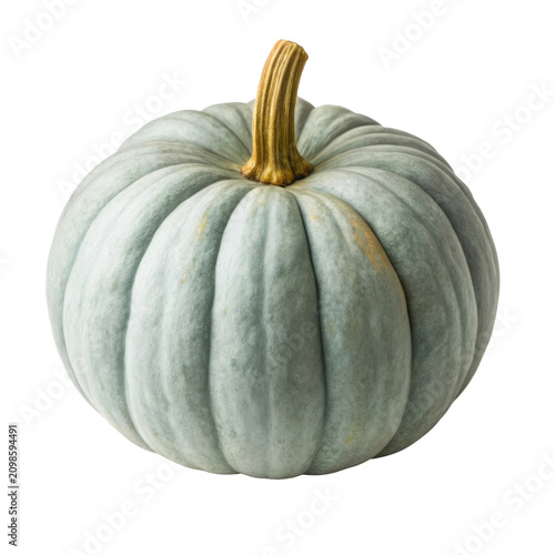 Blue grey Jarrahdale pumpkin heirloom squash for autumn harvest Thanksgiving decor and culinary recipes isolated on white background
