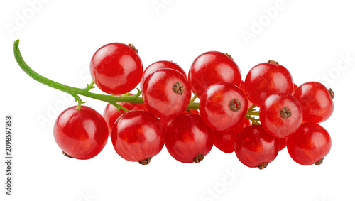 Fotografie Cluster of ripe red currants on a green stem, isolated on transparent background