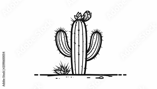 Billede på lærred Cactus plant with sharp spines.