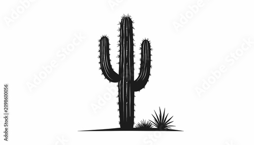 Foto Cactus plant in desert landscape solo.