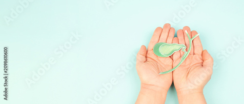 Gallbladder organ, store and concentrate bile aids produced by liver, emulsify fats, digestive enzymes, bile duct stones, inflammation and obstructing gallstones