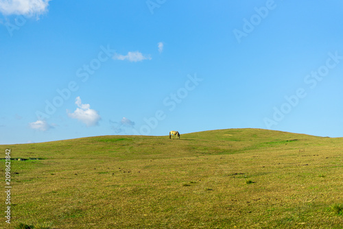 фотографія Minimalist rural landscape of a lone horse grazing ona avast green hill under a