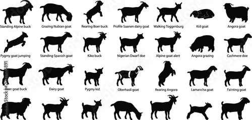 Cuadro en lienzo Goat Silhouette Vector Bundle Featuring Different Breeds Rearing Jumping Grazing