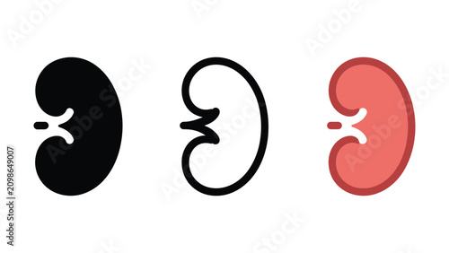 Cuadro en lienzo Kidney organ icons in black line and red color  human body part illustrations