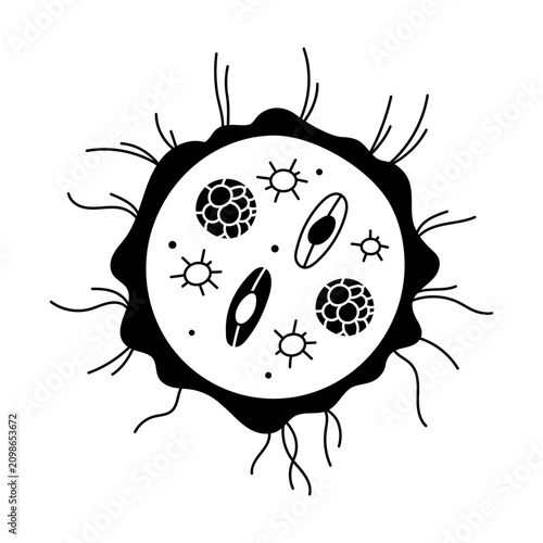 Photos A drawing style illustration showing fungal structure