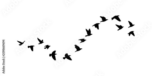 Foto Flock of Birds Flying Silhouette Illustration Freedom Bird Flock Silhouette Illu