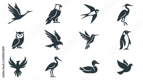 Canvastavla Various birds in flight poses.