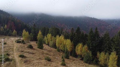 Aerial drone view of golden autumn meadow and foggy mountains