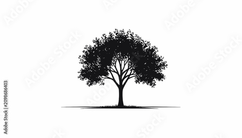 Fotografi Silhouette of a single tree standing.