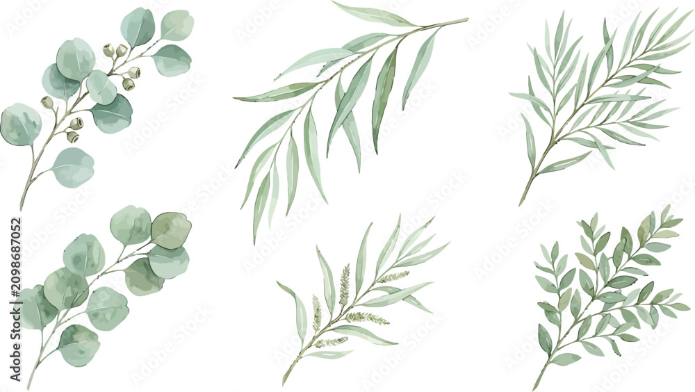 Fototapeta premium Watercolor botanical greenery collection featuring eucalyptus and willow branches for wedding invitations and natural floral design projects