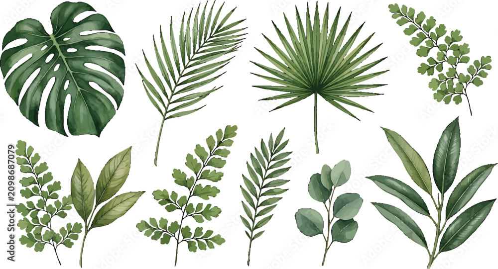 Obraz premium Watercolor tropical leaves collection featuring monstera palm fern and eucalyptus foliage for botanical design and nature projects