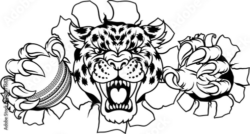 A jaguar, panther, leopard ...