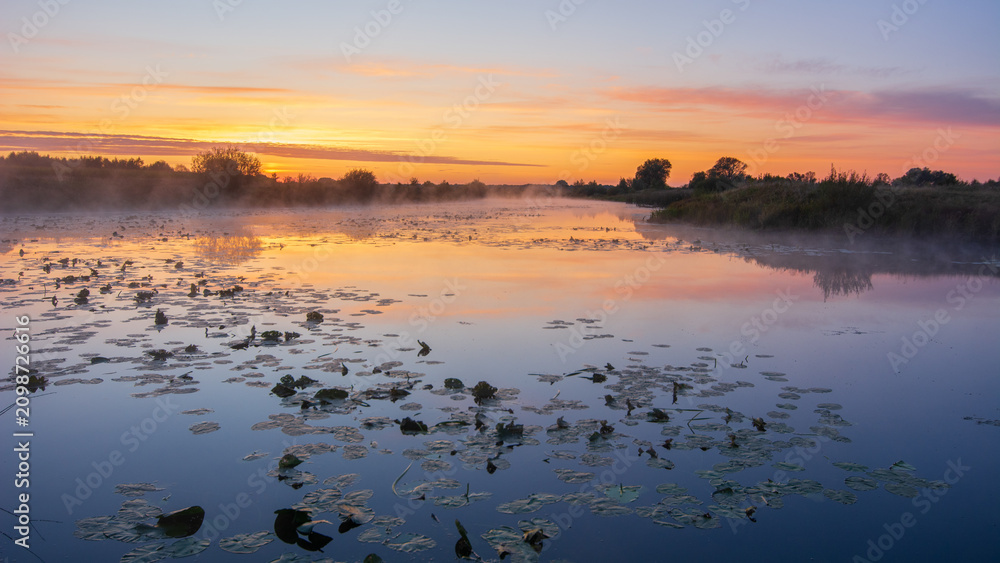 Fototapeta premium A serene river covered in water lilies reflects the vibrant orange and pink colors of a misty sunrise during dawn