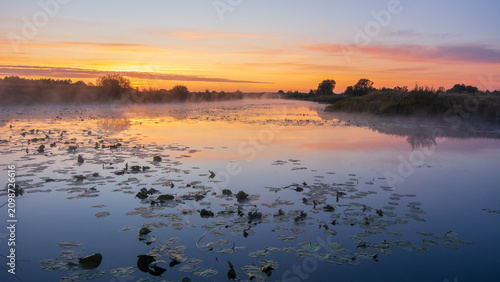 Cuadro en lienzo A serene river covered in water lilies reflects the vibrant orange and pink colo