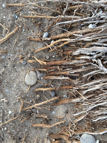 Obraz na plátně Driftwood and Pebbles on Sandy Beach Shoreline Debris