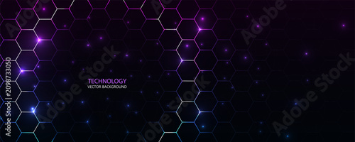 Abstract technology background. Digital purple hexagons vector bg with honeycomb for bio medicine and science technology design.