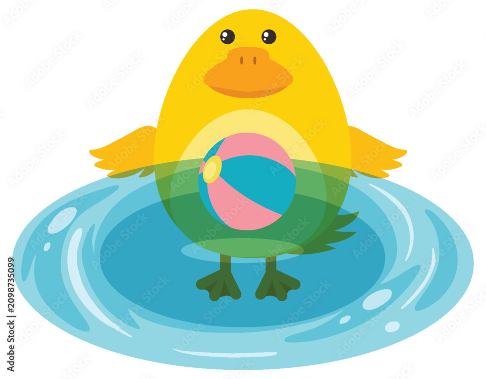 Fototapeta premium Yellow Duckling Swimming in Water with Colorful Beach Ball Illustration