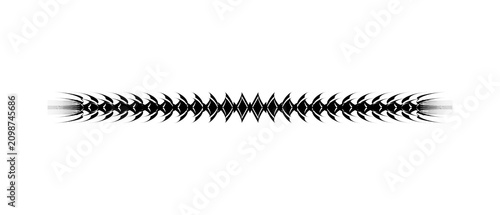 Konstfotografi This is with thorns facing backward on the right and left, and an interlocking edge
