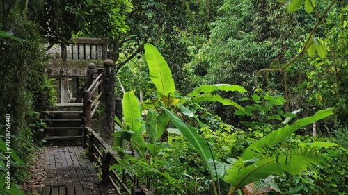 Wooden boardwalk through lush tropical rainforest in northern Thailand, Scenic jungle pathway with mountain forest greenery and peaceful nature landscape 4k