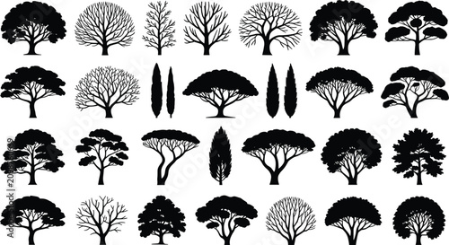 Canvastavla Detailed black tree silhouettes and botanical shrubs mega collection set isolate