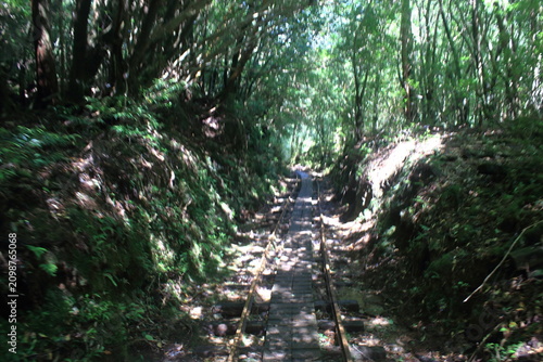 登山道