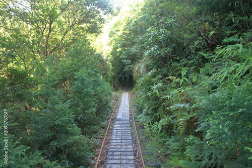 登山道