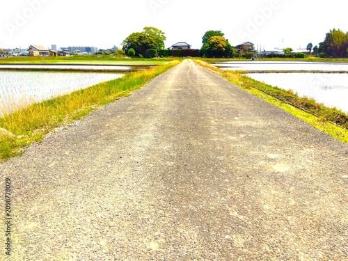 Canvastavla 農耕車の通った跡のある田んぼの中の春の朝の農道風景