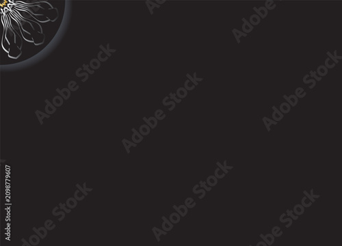 Modern Monochrome Floral Circle Abstract Design