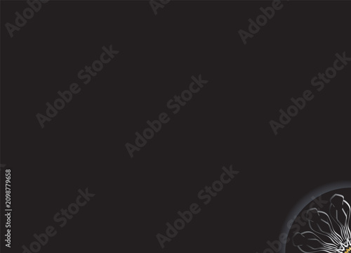 Modern Monochrome Floral Circle Abstract Design