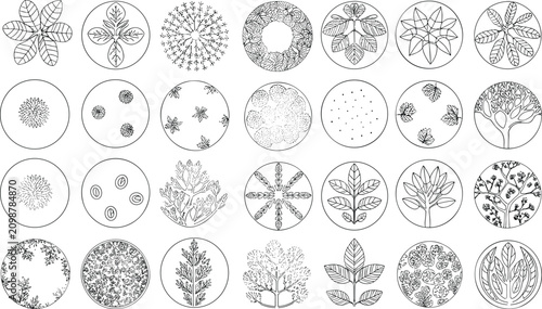 Foto Collection of hand drawn botanical featuring various leaf shapes, tree crowns, a