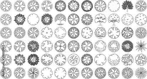 Top View Tree Canopy Silhouette Collection with Forest Crowns Landscape Vegetation Architectural Plan Vector Elements Bundle