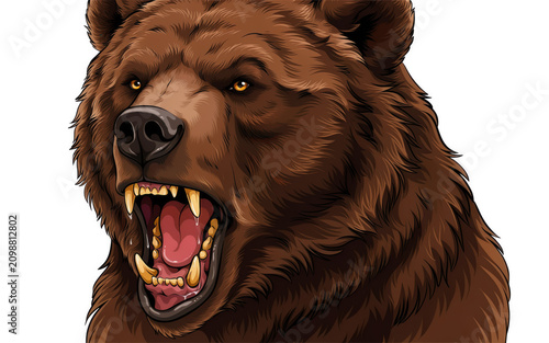 Fierce grizzly bear roaring with bared teeth and intense eyes during daylight isolated on transparent background