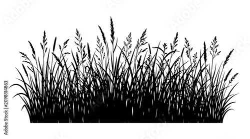 CAD tree lines,  grass Black grass, wheat, and reeds silhouette, vector grassland, wild plants, landscape elements vector