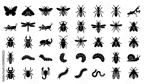 Bild auf Leinwand Black silhouette insect and larvae icon set with butterflies beetles bees caterp