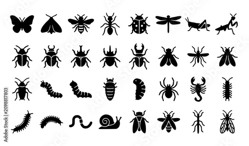 Tableau sur toile Minimal black insect and larvae vector icon set featuring butterflies beetles sp