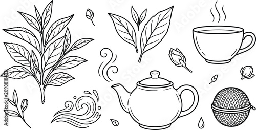 Fotografie Hand drawn tea line art vector illustration elements set featuring fresh leaves